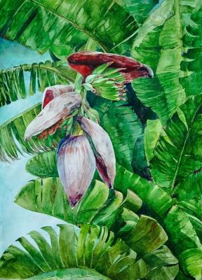 Banana flower (Lush Flower). Levina Svetlana