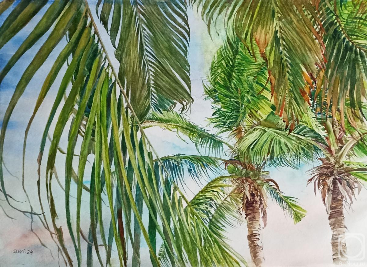 Levina Svetlana. Palm trees in Hainan