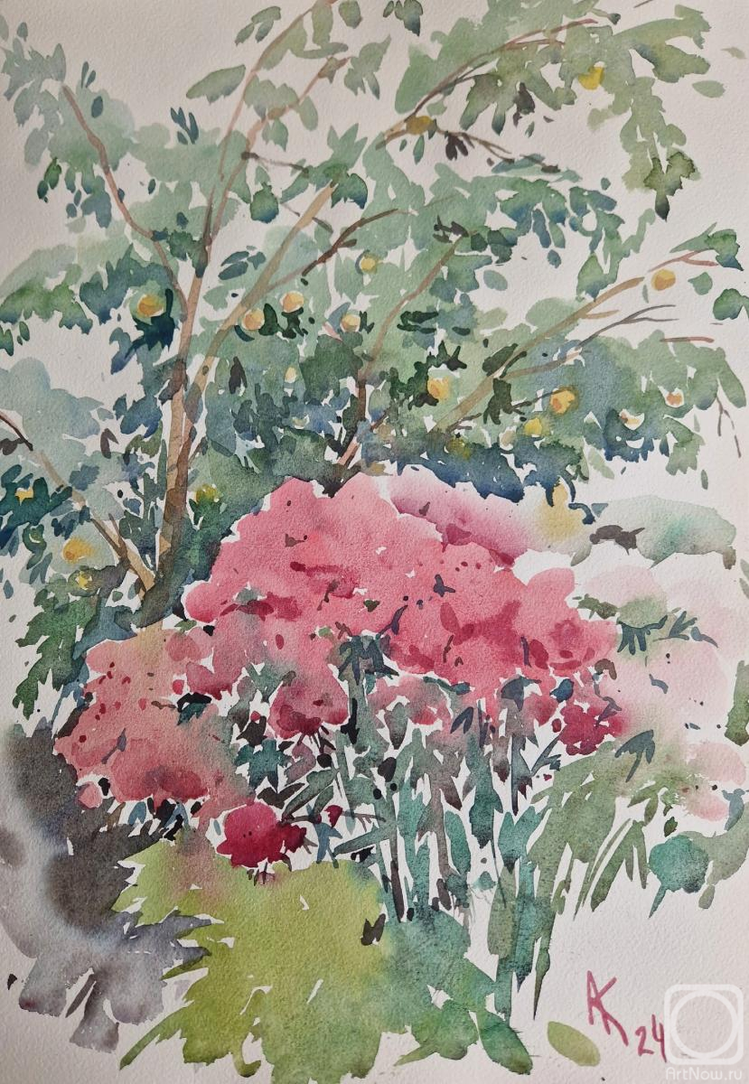 Kurnosenko Antonina. August in the garden