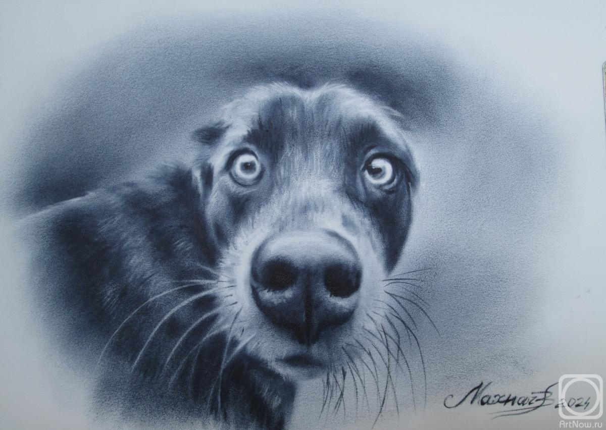 �������. ������ �������. � �� ��� �� ��� �������?