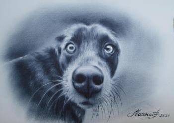 � �� ��� �� ��� �������?. ������ �������