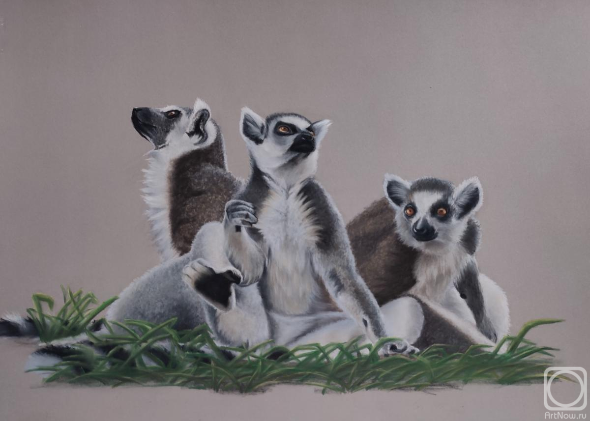 �������. ���������� ������. ������� ������