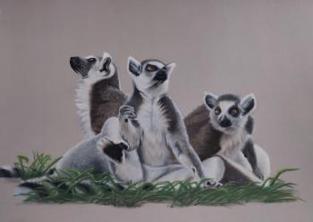 ������� ������. ���������� ������