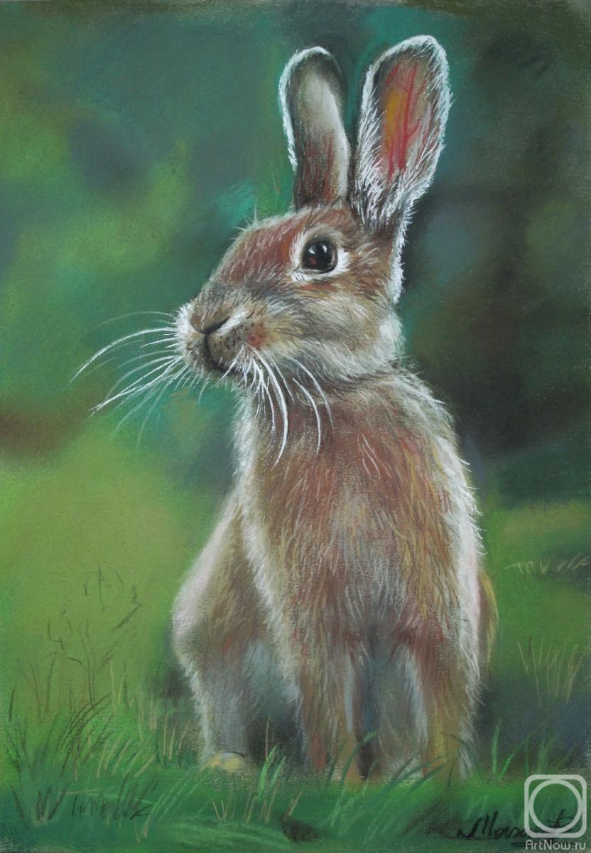 �������. ������ �������. ����