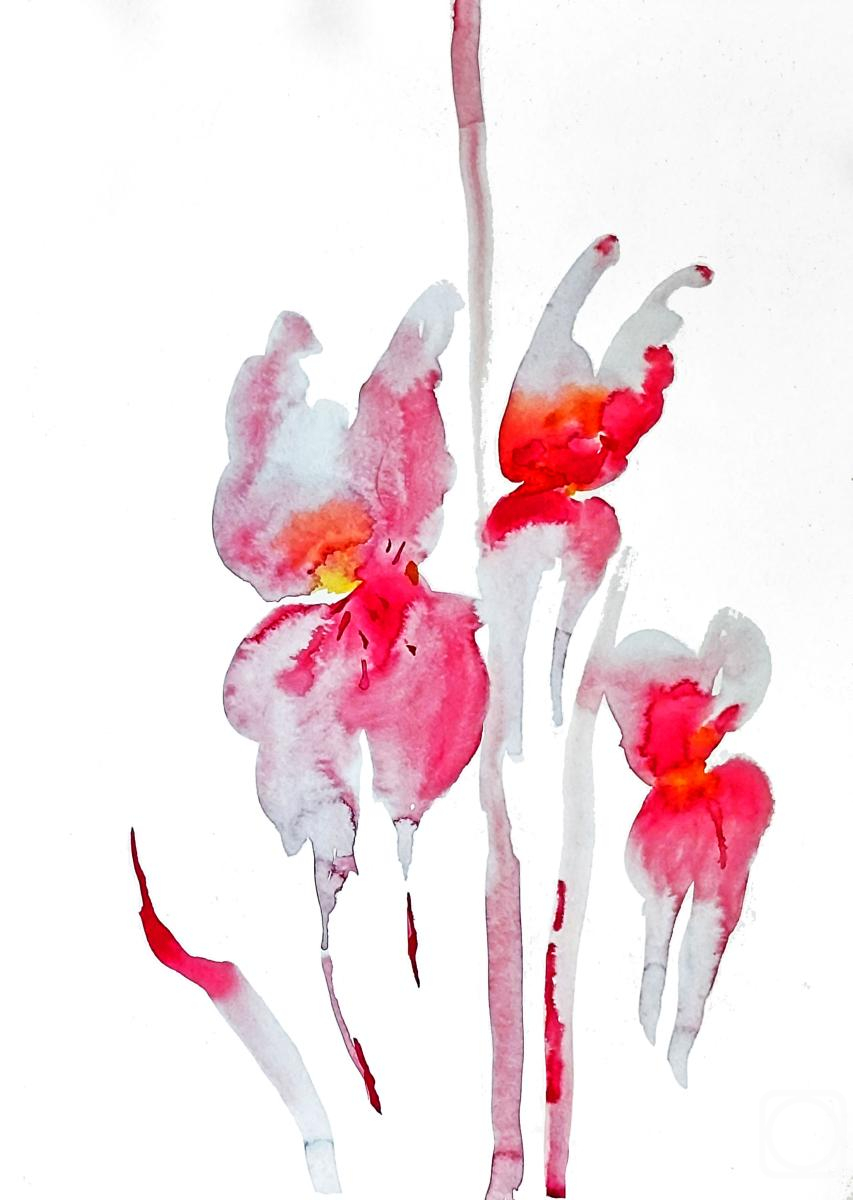 �������. ������� �����. ���� �����