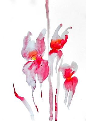 ���� ����� (���� ���������). ������� �����