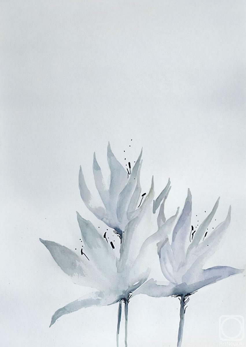 �������. ������� �����. �����