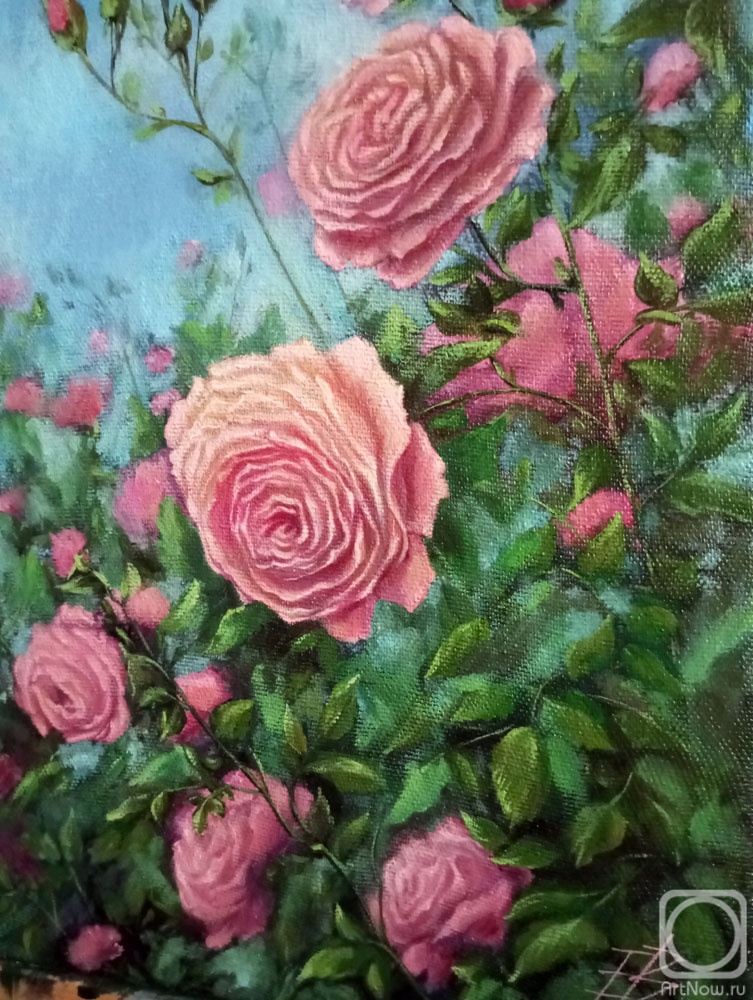 ������� ������ �� ������. ���������� ���������. �������� ����