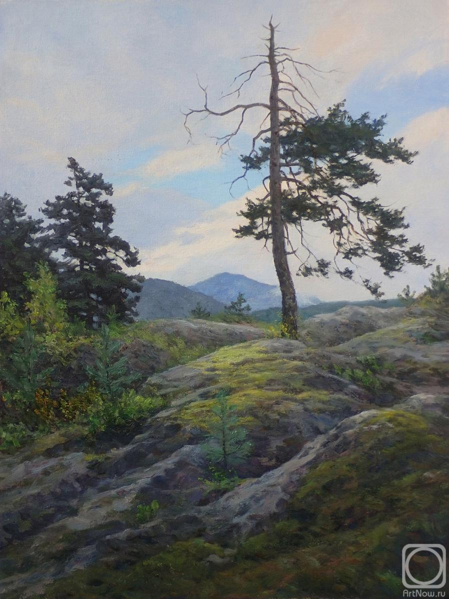 ������� ������ �� ������. ������� �����. ����� �� ������