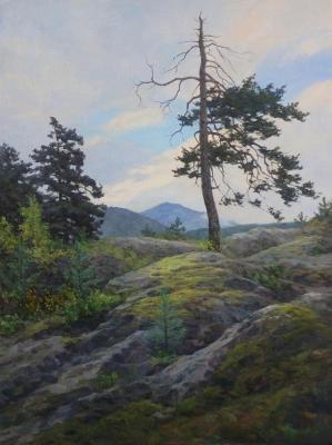 ������� ������ �� �������