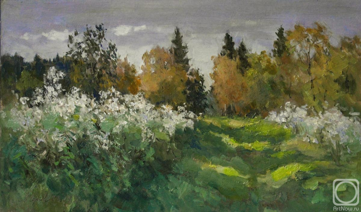 �������. �������������� ������. ������ ������ ��������