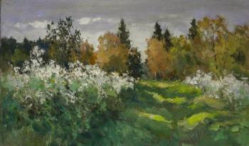 ������� ������� ������ ���������