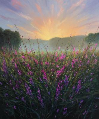 ������� ������������