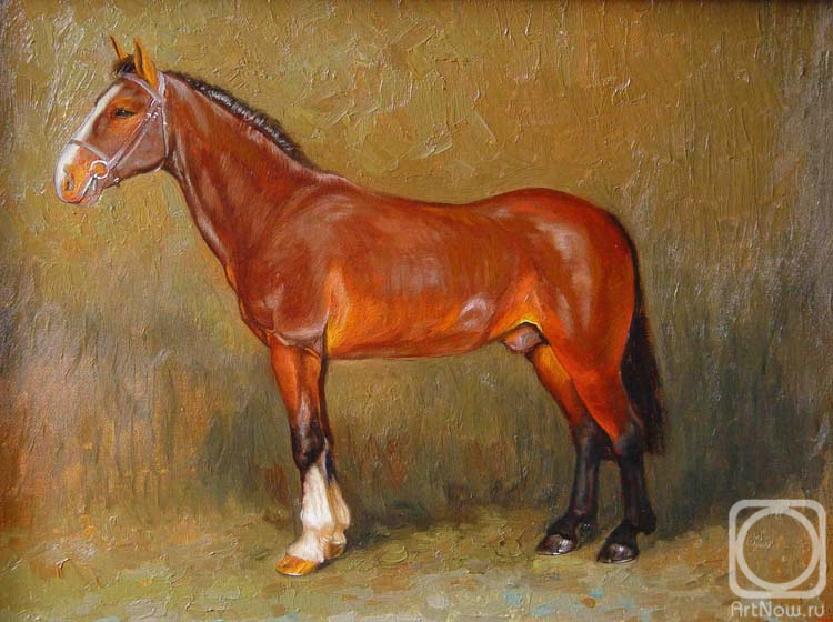 ������� ������ �� ������. ����� ����. ���������� �����