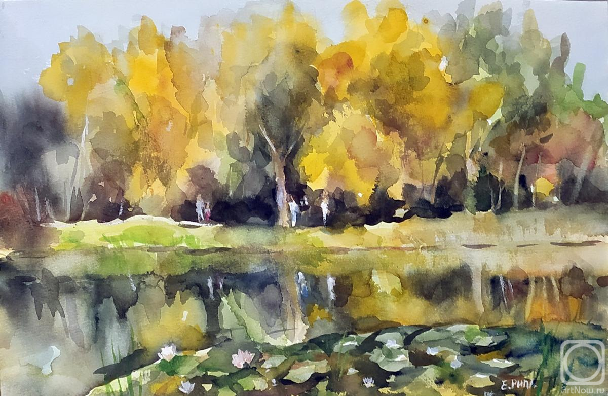 �������. ���� �����. �������� � ������������ ����