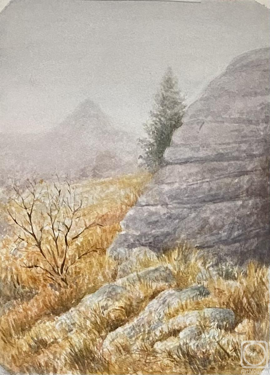 �������. ���������� ���������. �����