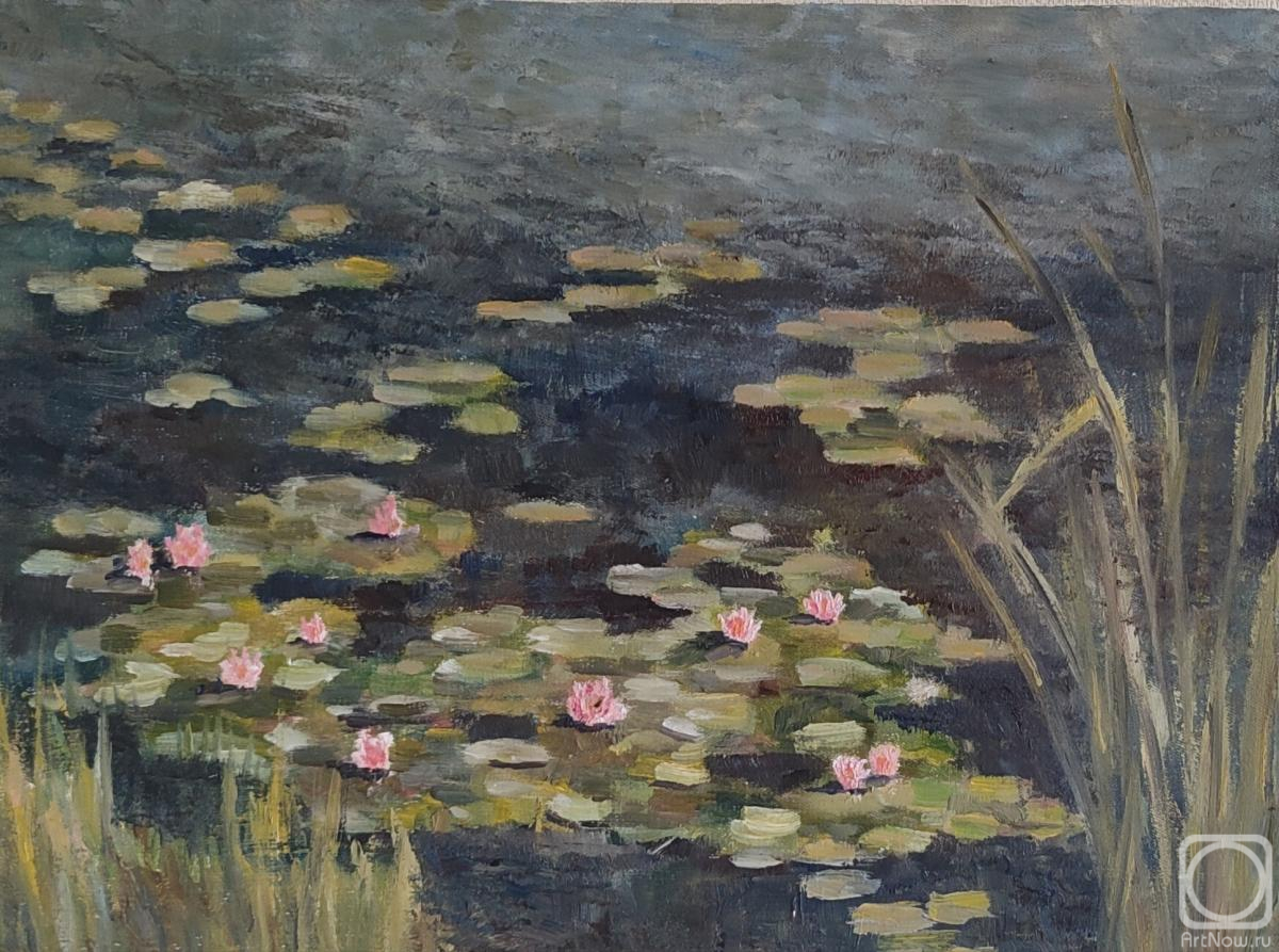 ������� ������ �� ������. �������� ���������. ������ �����