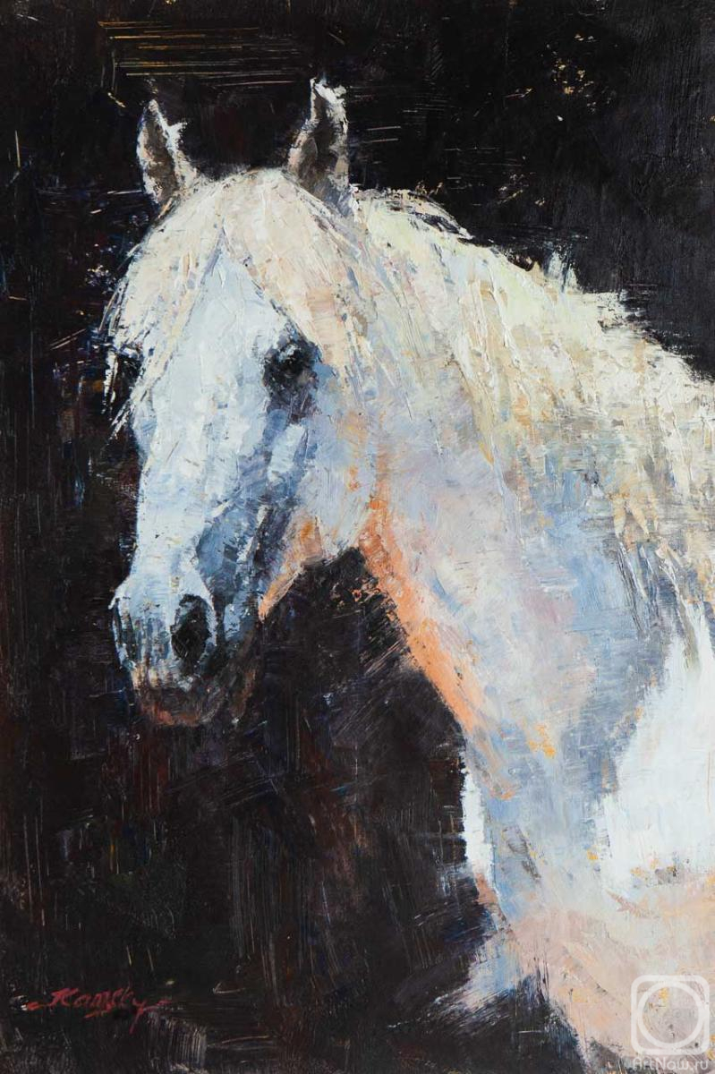 ������� ������ �� ������. ������� �������. ���������� ��������