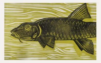 The minnow (A Fish In Graphics). Russkih Vadim