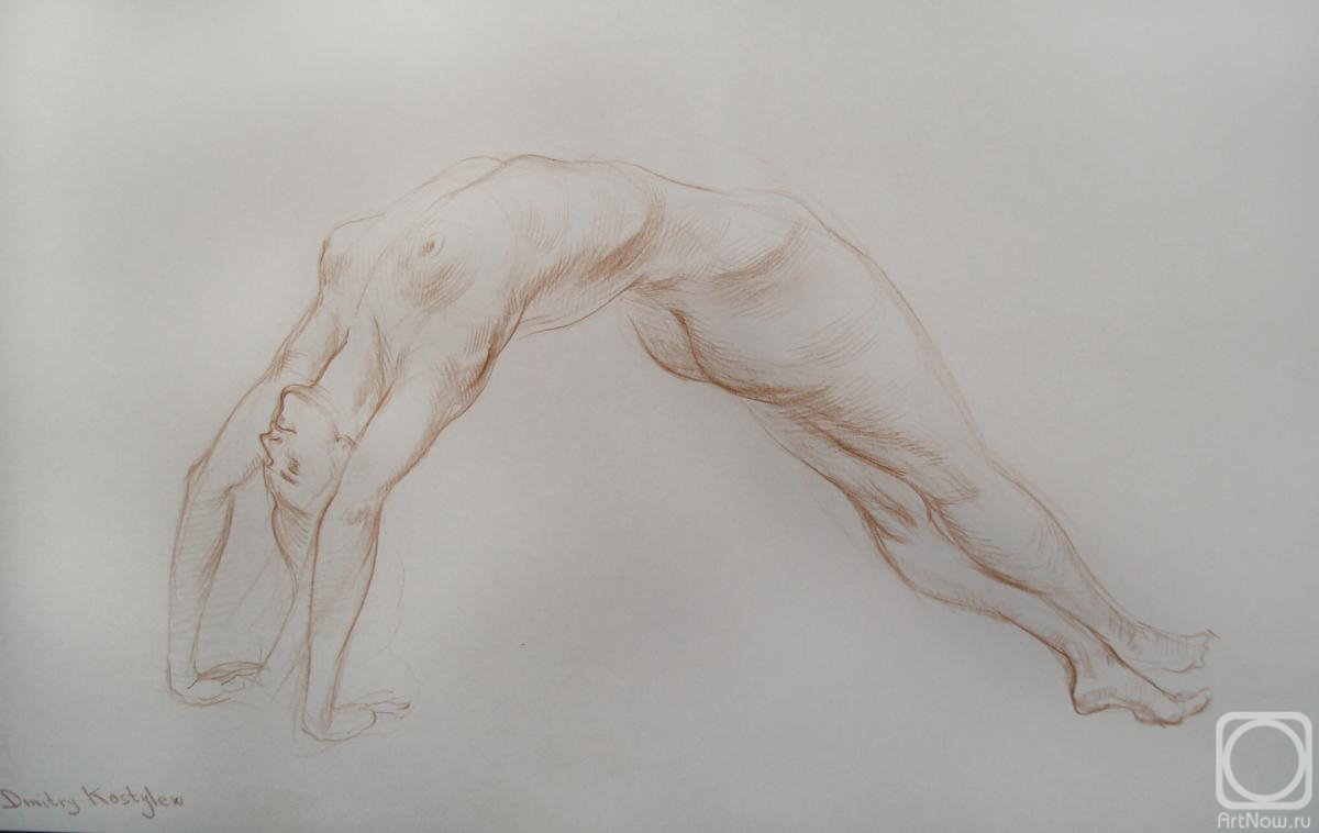 Kostylev Dmitry. Bridge