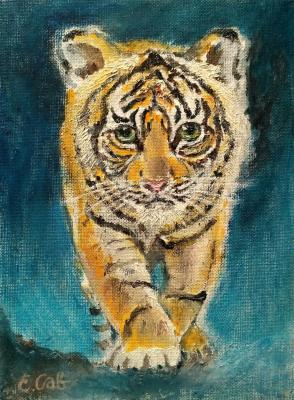 Tiger Cub