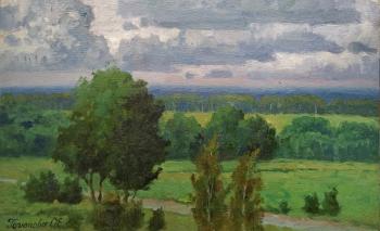 Overcast day in Nastassino. Goryunova Olga