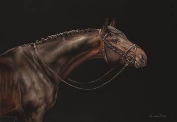 ������� ������