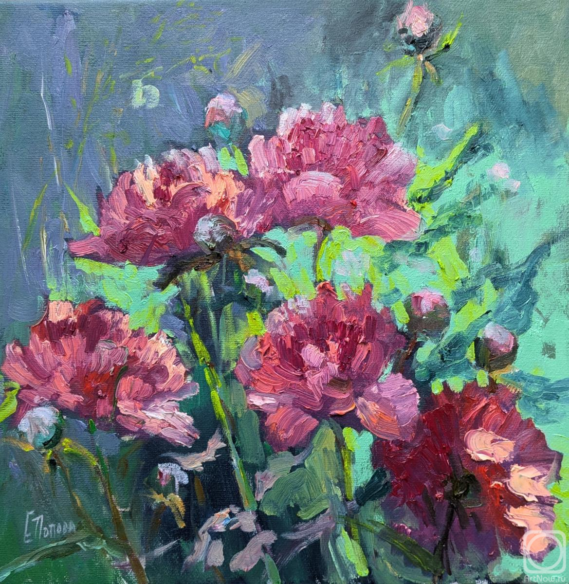 ������� ������ �� ������. ������ ���������. �����