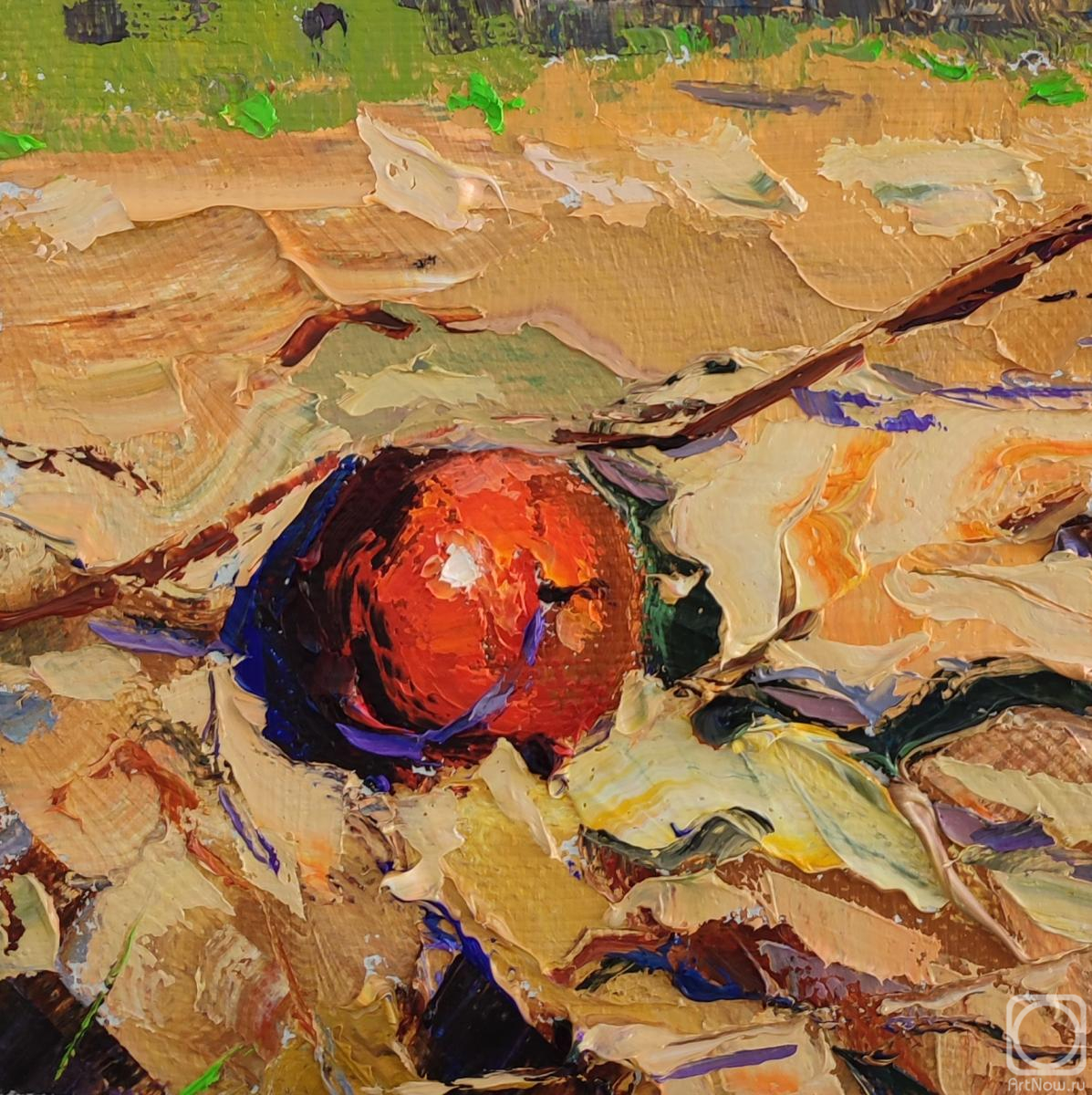 ������� ������ �� ������. ���������� �������. ����������� �������