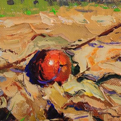 ������� ������������ �������