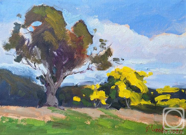 ������� ������ �� ������. ������ ������. �������� ������. ���������