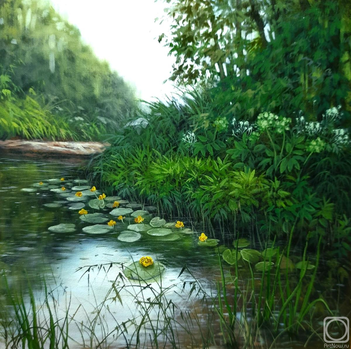 ������� ������ �� ������. ��������� �����. ������ ������