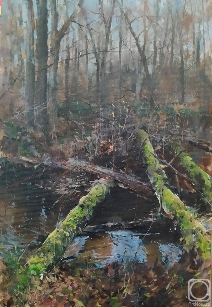 �������. ������� ���������. ������ �������