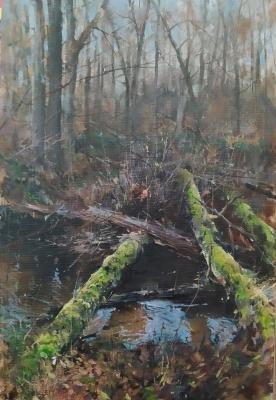 ������ ������� (���������� �������). ������� ���������