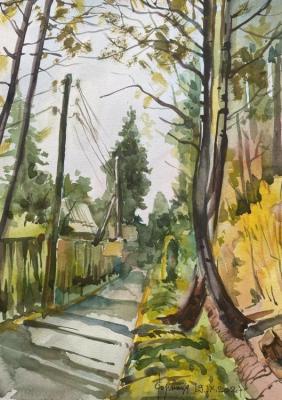 The road from the dacha (etude). Loznitsa Sergey