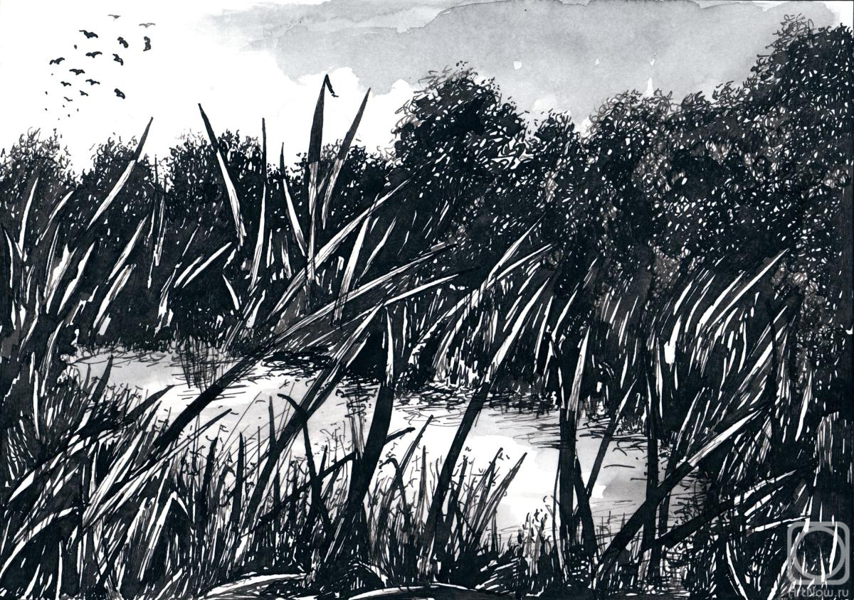 �������. ������� ��������. ����� �����