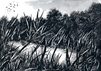 ������� ������ ������