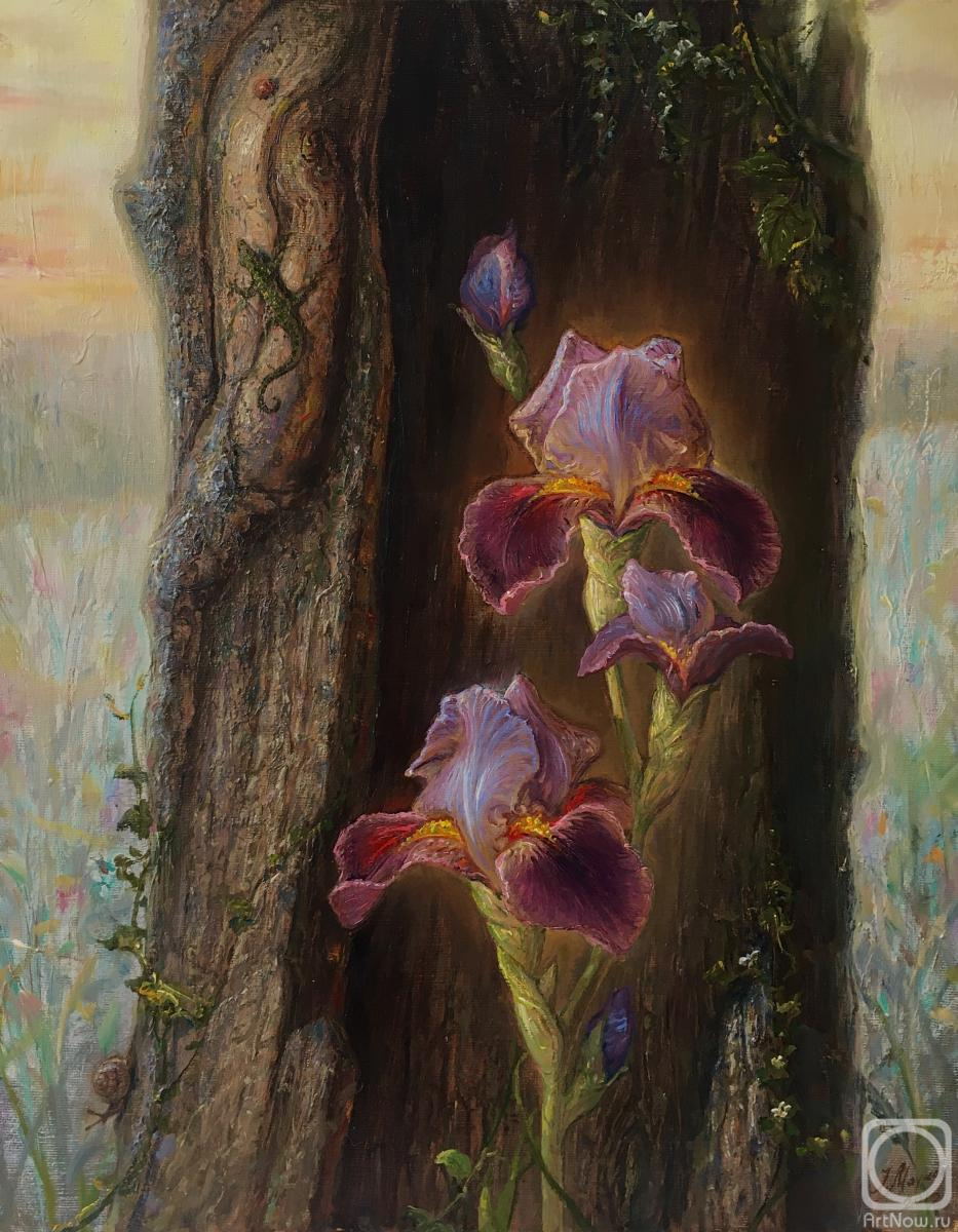 ������� ������ �� ������. ������ �����. �����