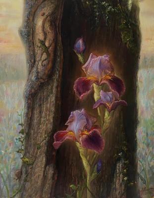 ������� �������