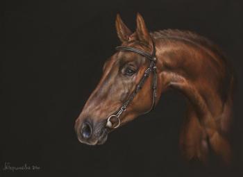 ������� ������