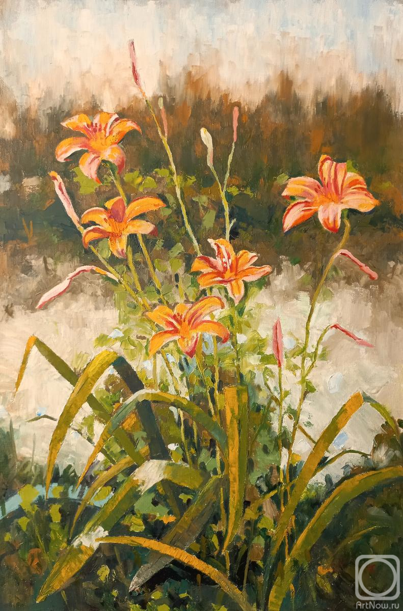 ������� ������ �� ������. �������� ������. �������� ������ �����