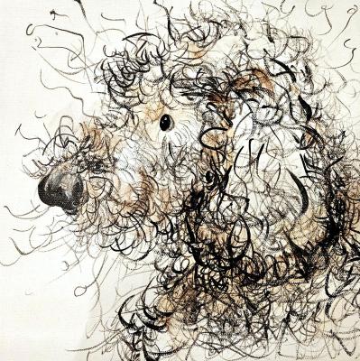 ����� ���� �������. �������