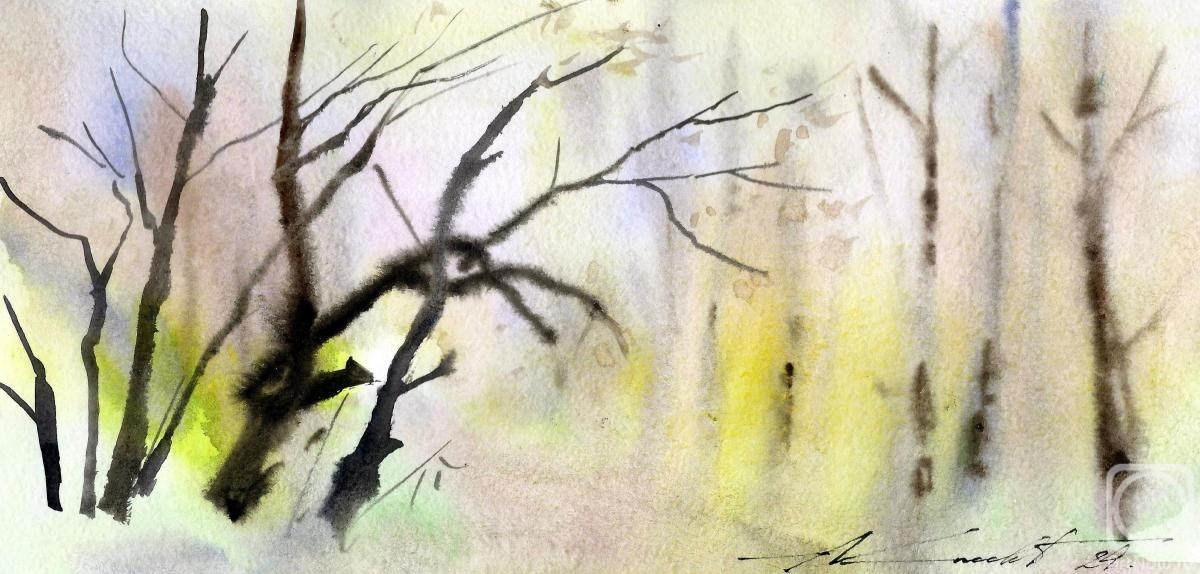 �������. ����� ���������. ���� �������