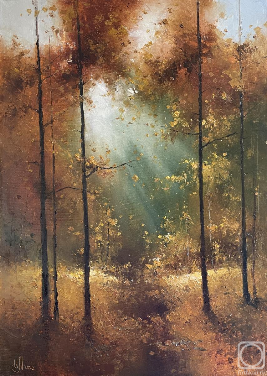 ������� ������ �� ������. �������� �����. ������� ����