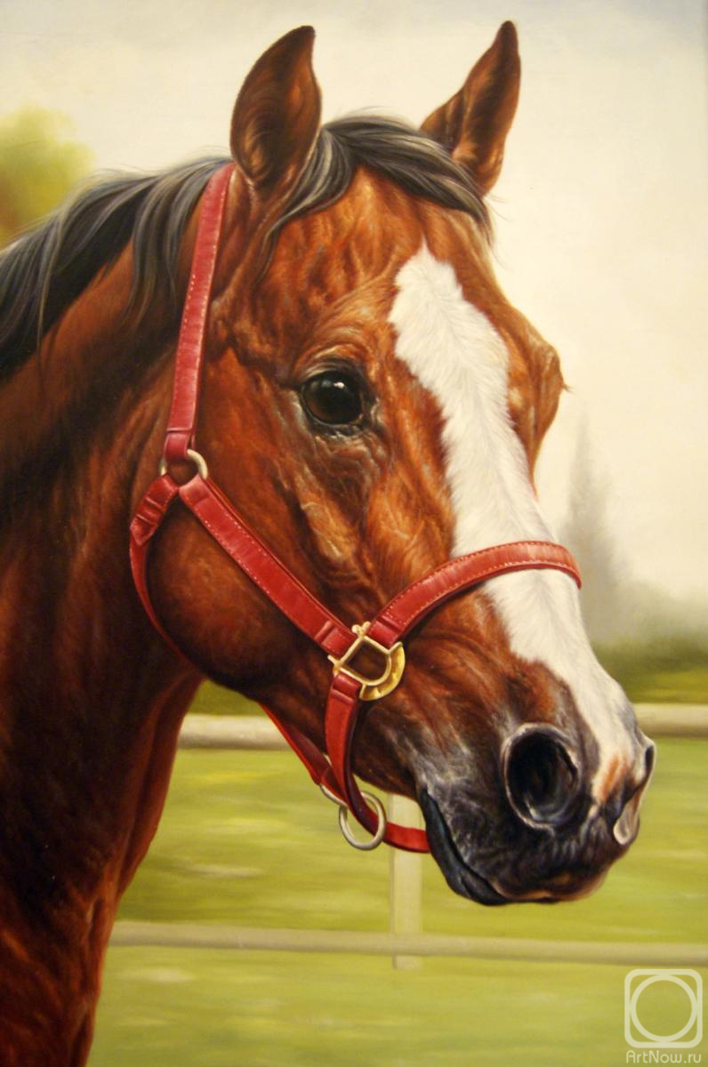 ������� ������ �� ������. ����� ����. �� ��������