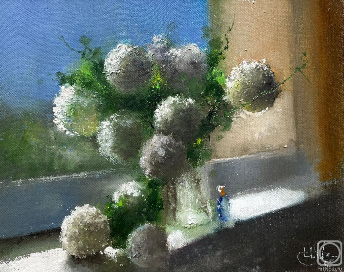 ������� ������ �� ������. �������� �����. ���������