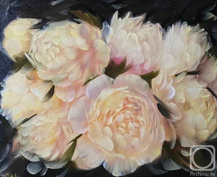 Archilovskaya Anastasiya. Peonies
