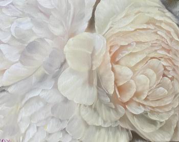 Peonies. Archilovskaya Anastasiya