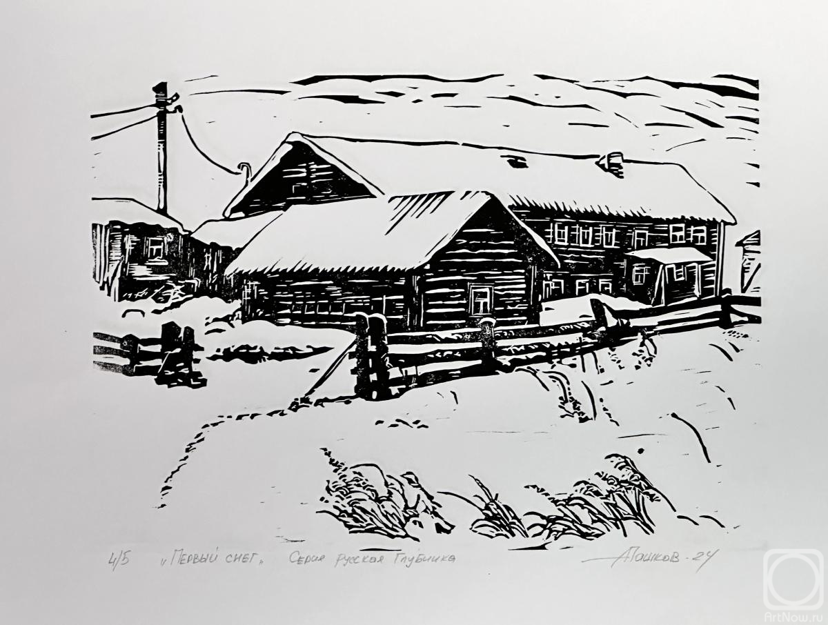 Pashkov Aleksandr. The first snow