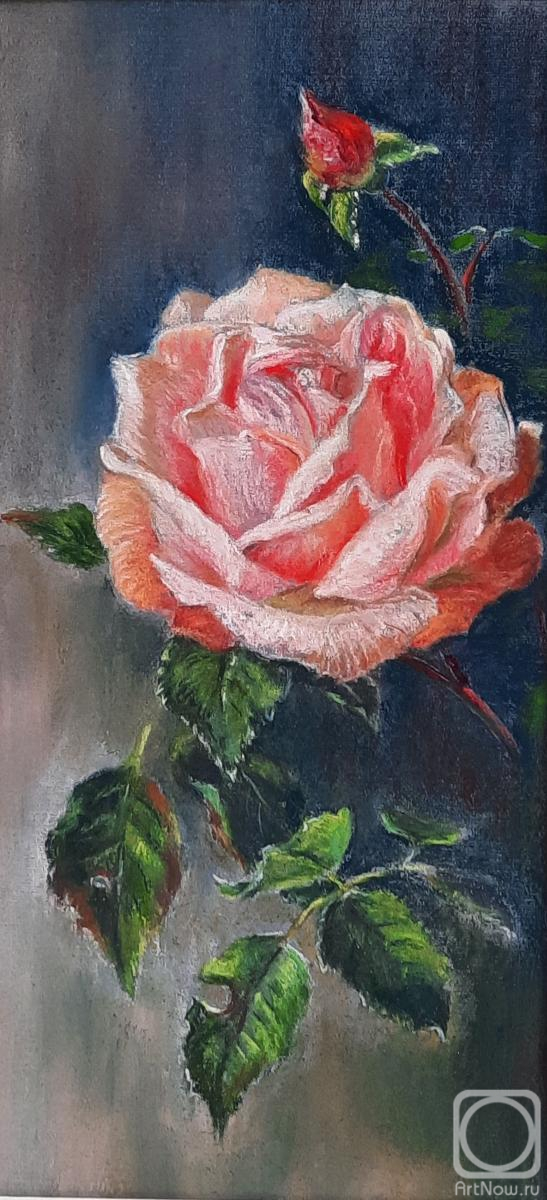 �������. ��������� ������. ���� ����